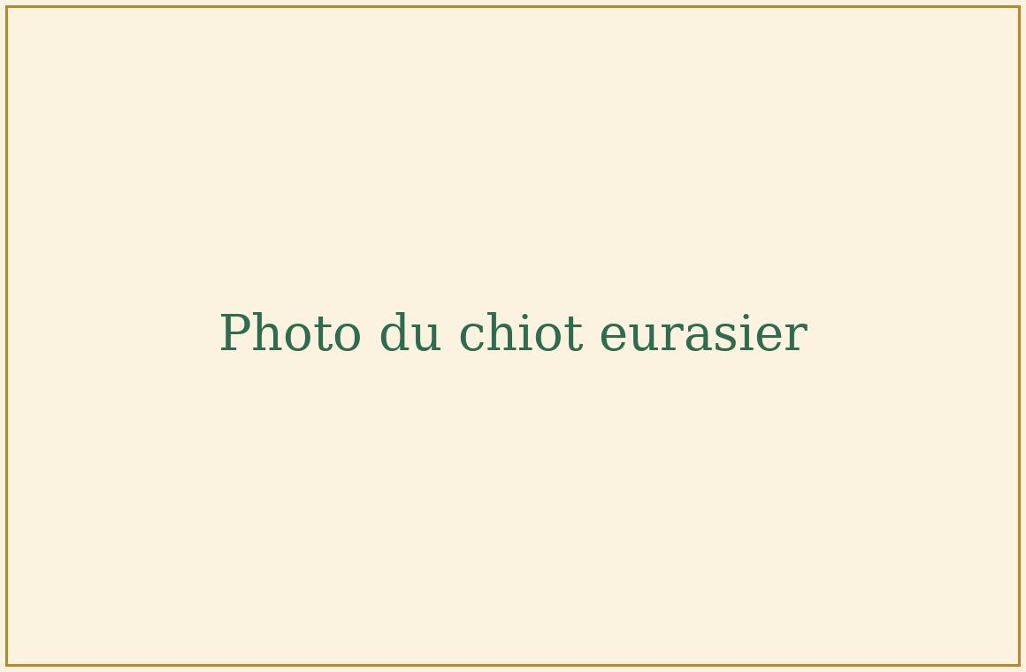 Le chien offert à Daniel